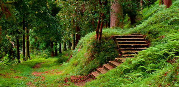 Batumi Botanical Gardens